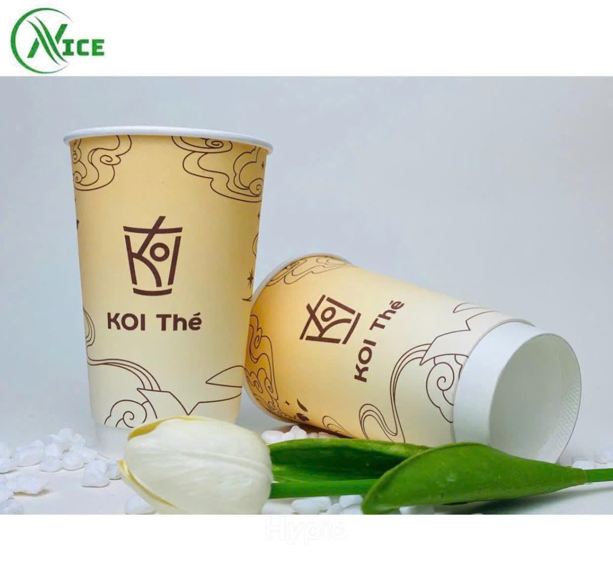Cốc giấy - Công Ty TNHH Quốc Tế Nice